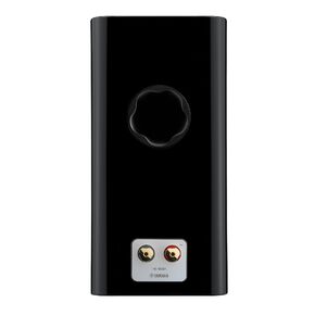 NS-800A
