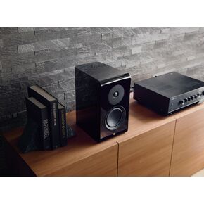 NS-600A