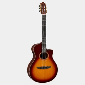 Brown Sunburst （棕色漸變）