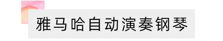 活動報道 | 遠程藝術教育大師課活動—雅馬哈教育家崔嵐大師課