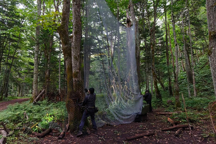 案例｜雅馬哈為壯觀的Kamuy Lumina魔法夜行旅游項目提供配樂設備